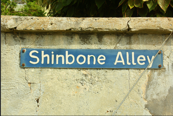 shinebone
