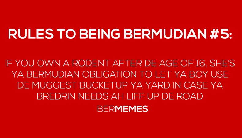 Rules to Bein Bermudian #5: De Bucket