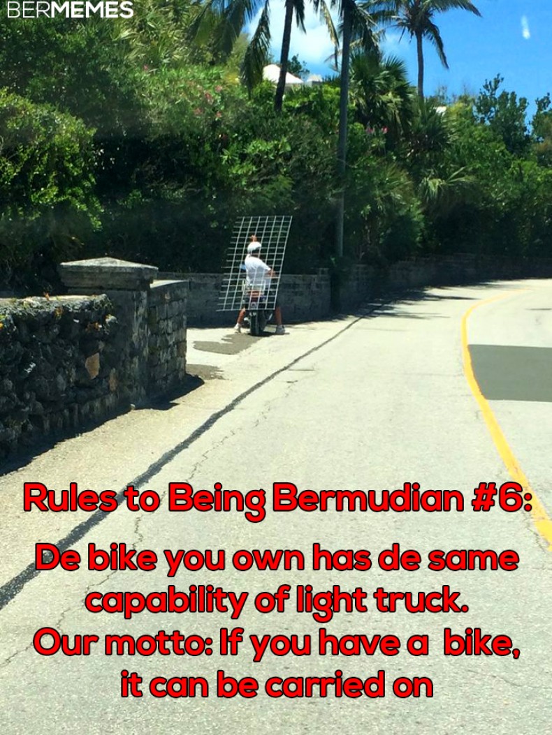 Rules to Bein Bermudian #6: De Rodent