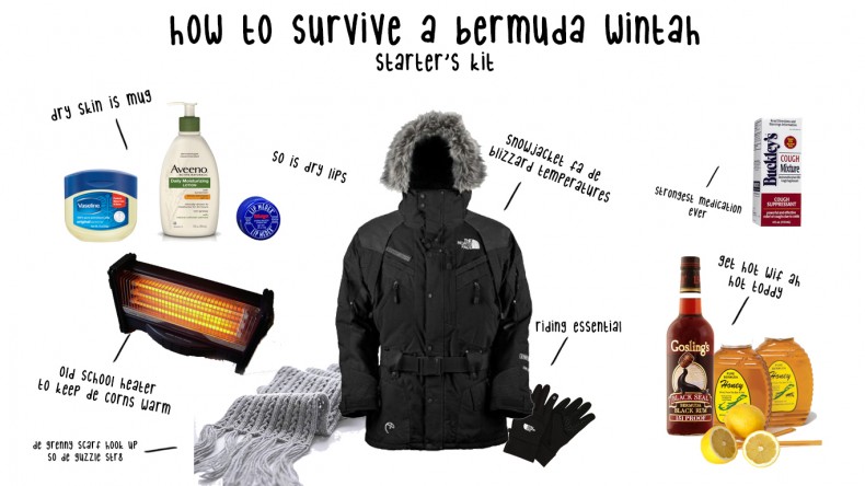 How to Survive ah Bermudian Wintah