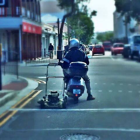 Only in Bermuda #4