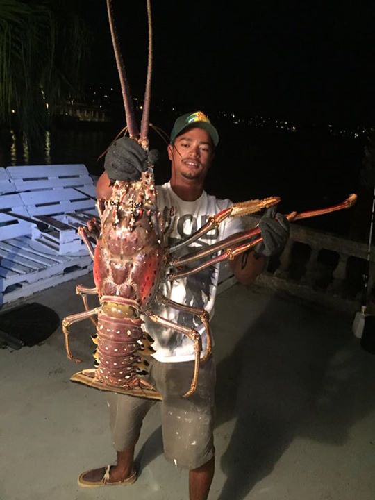 Bermy Fisherman goes Viral wif Monster Lobsters