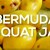 Bermuda Loquat Jam Recipe (video)