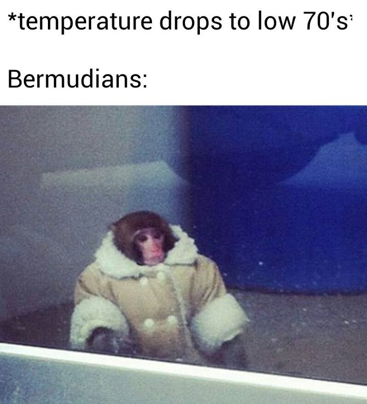 When de Temperature drops below 70 in Bermy