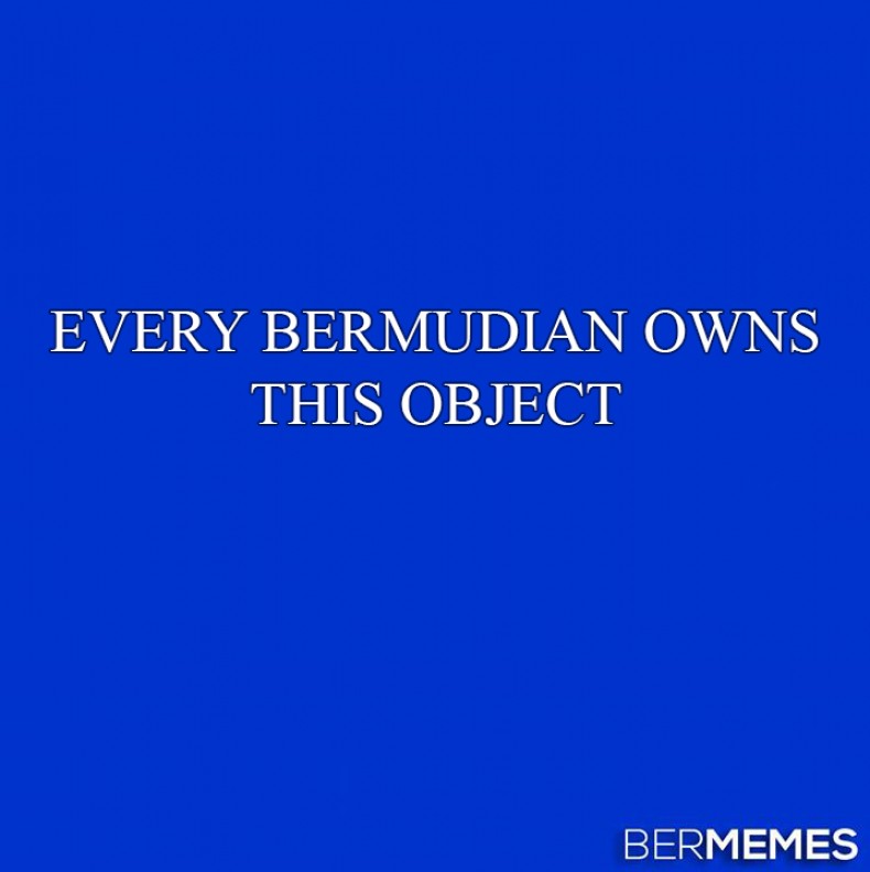 Bermy Jeopardy: Object