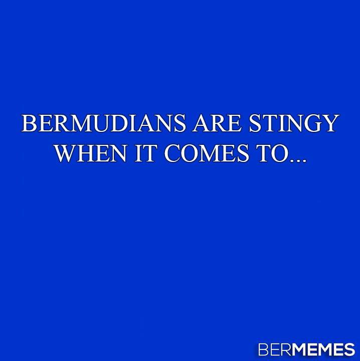 Bermy Jeopardy: Stingy